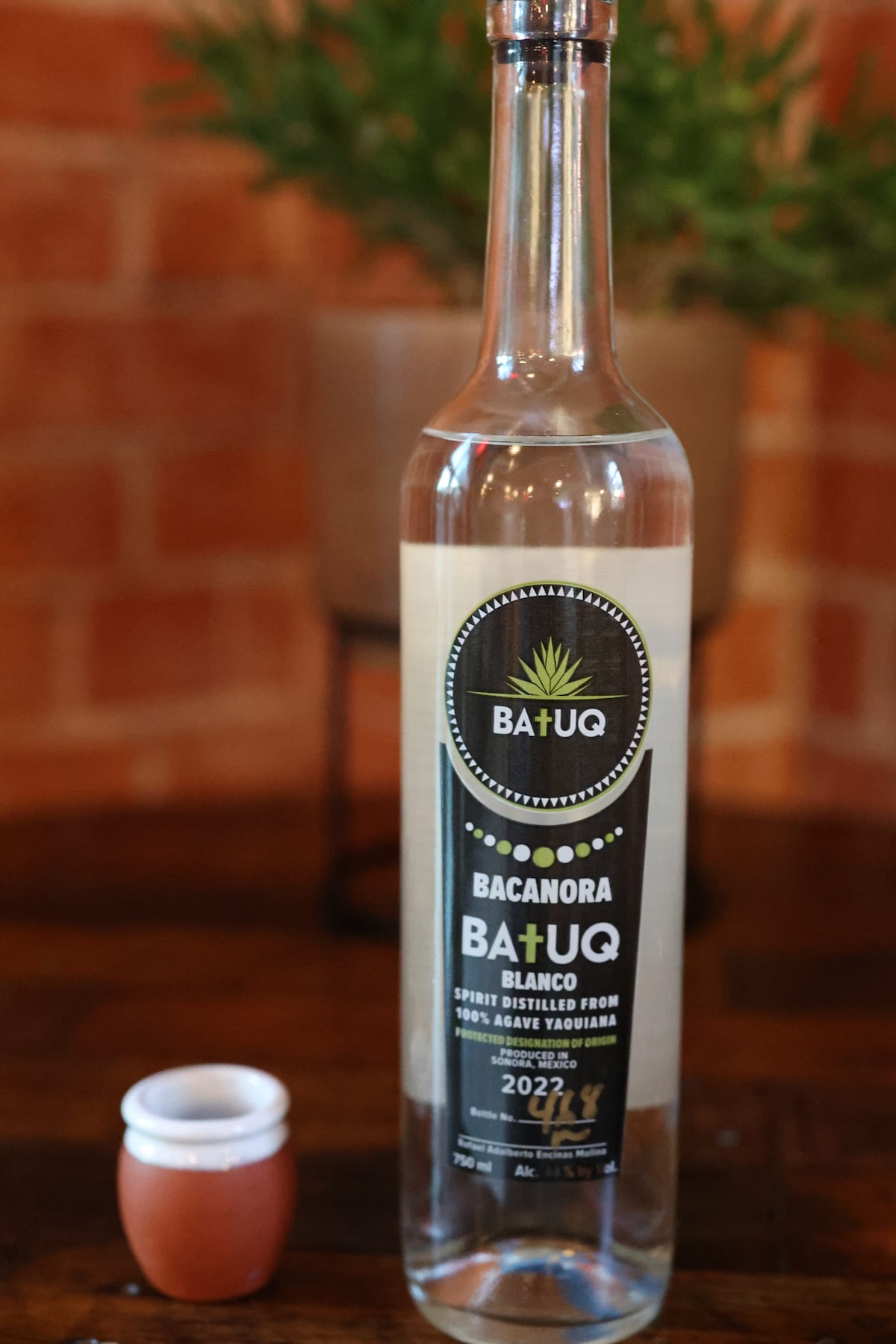 Agave Tasting at Sonora Moonshine · ★5.0 bottle from Batuq Bacanora Distillery