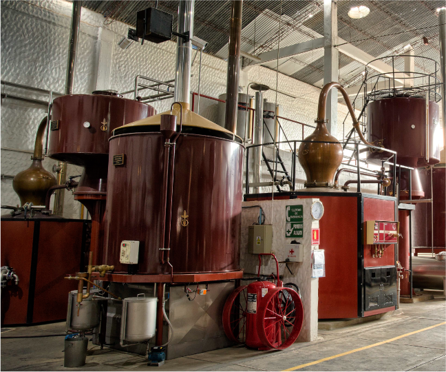 Singani Casa Real - Inicio bottle from Casa Real Distillery